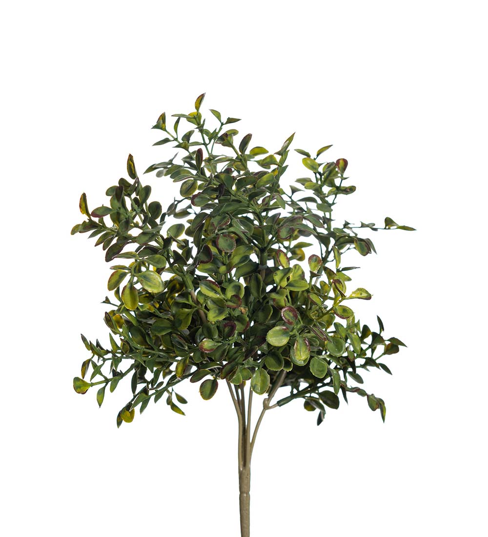 Lingonris bukett 25 cm